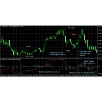 Crypto Options Trade logo - Similar company to Crypto Verse (Pty) Ltd