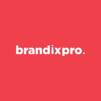 Brandix Pro logo - Similar company to A2N Infotech Limited
