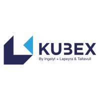 KUBEX-ES logo - Similar company to Mixthinkers