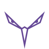 StrixEye (R&D on hold) logo - Similar company to Cydets