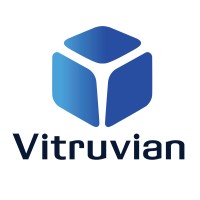 Vitruvian Solutions logo - Similar company to Infogen Technology Solutions