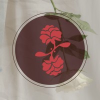 Dos Rosas, Inc. logo - Similar company to Alan Bilzerian