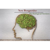New Perspective Psychological Services logo - Similar company to Wonder Years Psychiatric Services