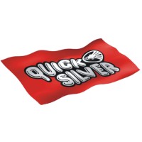 Quick Silver India Gurugram Headquarter logo - Similar company to Quick Silver India