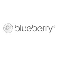 Blueberry Glasses