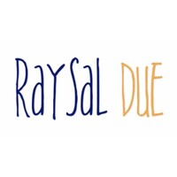 Raysal due logo - Similar company to Nctech