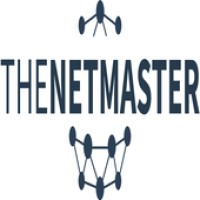 TheNetMaster.com logo - Similar company to Netmasters