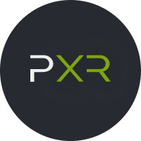 Pluris XR logo - Similar company to Communities Of Crocus