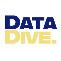 DataDive logo - Similar company to Data Dive Tools