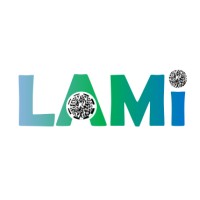 Lami Advance Solutions