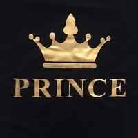 Prince Jewellers logo - Similar company to Webhulk - Web Designing & Digital Marketing