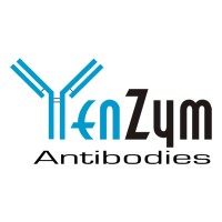 YENZYM ANTIBODIES, LLC logo - Similar company to Evra Construction Inc