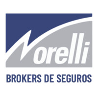 Norelli Brokers de Seguros logo - Similar company to Rosso Asesor & Productor De Seguros