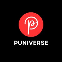 PUNIVERSE logo - Similar company to Curintech | Product Management As A Service