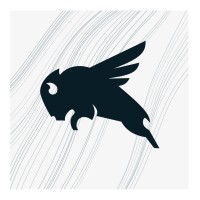 Sky Bison Investments