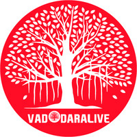 www.vadodara.live logo - Similar company to Proems