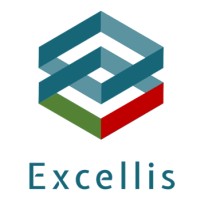 Excellis logo - Similar company to Fluorok