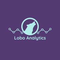 Lobo Analytics Llc