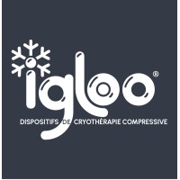 IGLOO logo - Similar company to Glad 3D