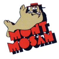 MONT MOSAN logo - Similar company to Belgofin