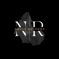 NDULE RECORDS logo - Similar company to Bloomer Records