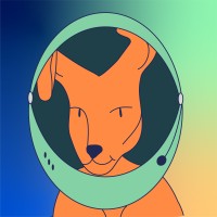 Rokisoft logo - Similar company to Rockysoft