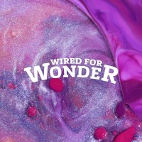 Wired for Wonder logo - Similar company to Lion Systems