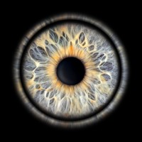 irisArt logo - Similar company to Reliable Advisors