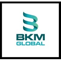 BKMGLOBAL ENDUSTRI ENERJI A.S. logo - Similar company to Imnowex