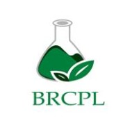 BEIL RESEARCH AND CONSULTANCY PRIVATE LIMITED logo - Similar company to Shivalik Solid Waste Managment Limited
