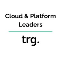 Cloud & Platform Leaders logo - Similar company to Independent Consultant