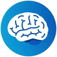 Mental Sphere logo - Similar company to Mind Wise Care