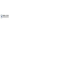 Saudi Electrical and Electronic Control Systems Industry Co. Ltd.(SELCO) logo - Similar company to Selco
