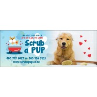 Scrub a Pup