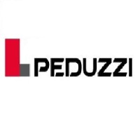 PEDUZZI Bâtiment Génie Civil logo - Similar company to Peduzzi
