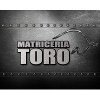Matriceria y Metalurgica Toro logo - Similar company to Grupo Moldes