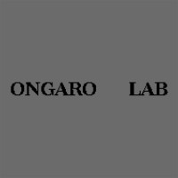 Ongaro Lab logo - Similar company to Superstile Ltd