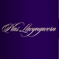 Plas Llwyngwern Ltd