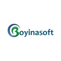 Boyinasoft logo - Similar company to Blockstack.Io (Acquired By Digital Asset)