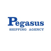 Pegasus Shipping Agency Ltd logo - Similar company to Tnl International