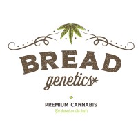 Bread Genetics
