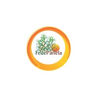 Fedepanela logo - Similar company to Medsystems Co Sas
