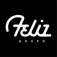 FELIZGROUP logo - Similar company to Venture Academy