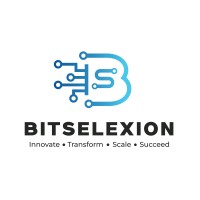 BitSelexion logo - Similar company to Orkatok