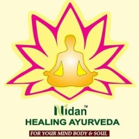 Nidan Healing Ayurveda logo - Similar company to Delco Labs