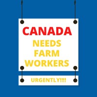 Canada Farm jobs logo - Similar company to Visa-Sponsored Careers