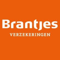 Brantjes Verzekeringen logo - Similar company to Security Risk Watch