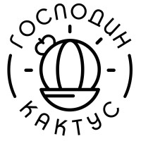 Господин Кактус