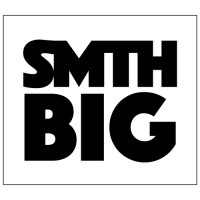 SMTH Big logo - Similar company to Digitap
