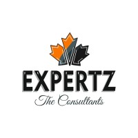 Expertz - The Consultants logo - Similar company to Expertz Tech